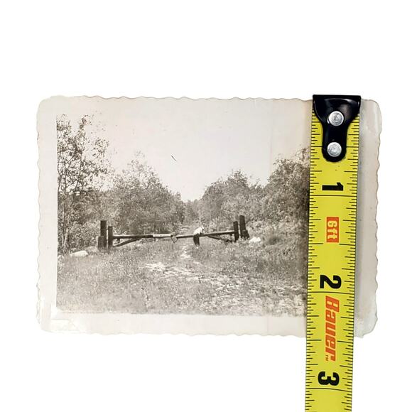 Vtg Trail at Itasca State Park Original Monochrome Photo 1946 Found Snapshot - Picture 4 of 4